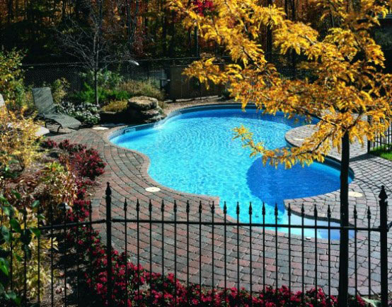 Thiết kế hồ bơi sân vườn