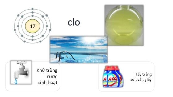 Nguyên nhân và cách xử lý khi nước hồ bị đục Nguyên nhân và cách xử lý khi nước hồ bị đục